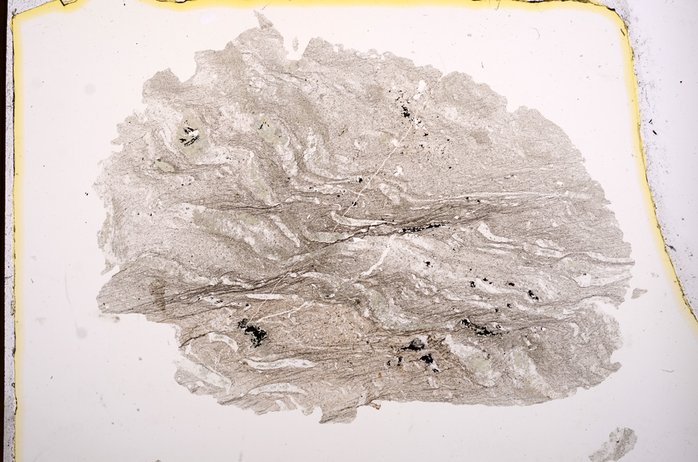 Plane Polarized, E3811