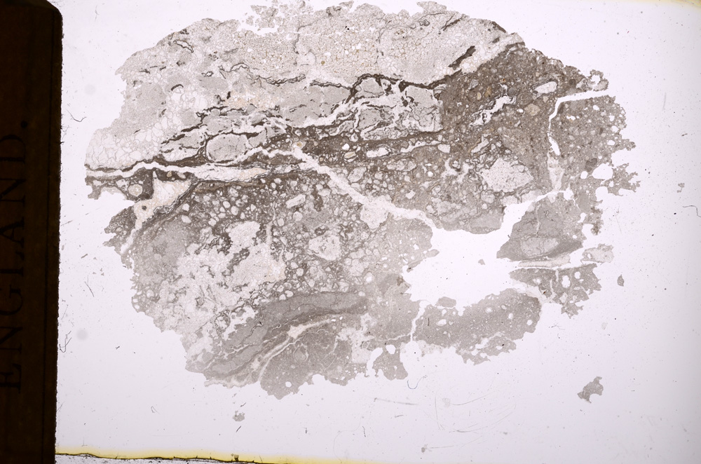 Plane Polarized, E3815