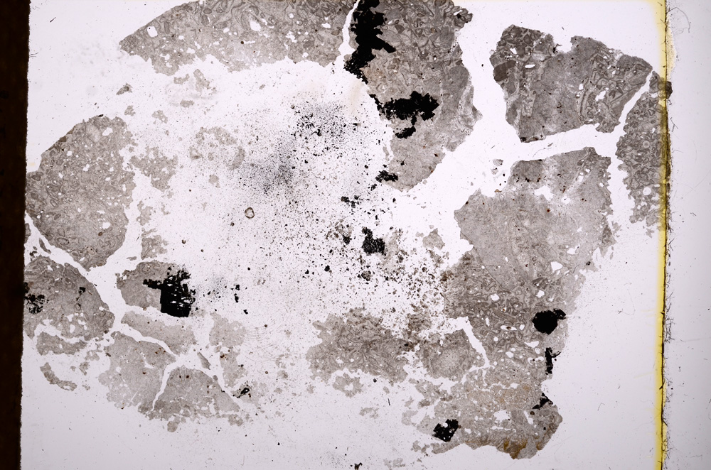 Plane Polarized, E3824
