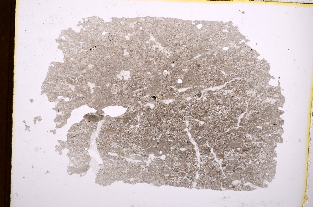 Plane Polarized, E3825