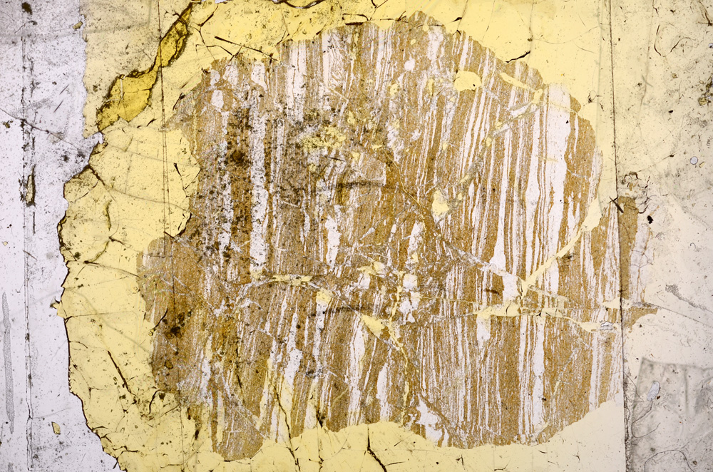 Plane Polarized, E3859