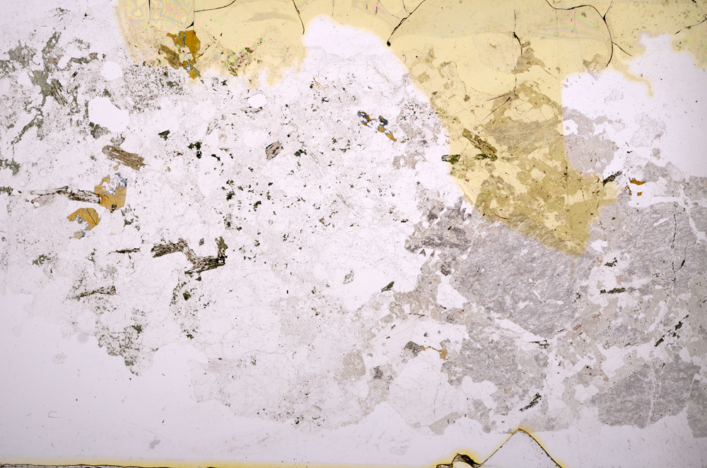 Plane Polarized, E3864