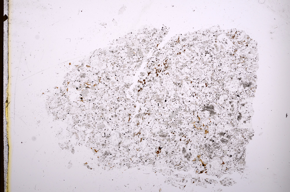 Plane Polarized, E3890