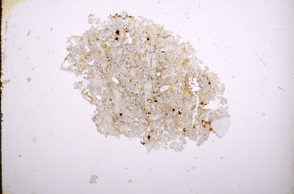 Plane Polarized, E3898