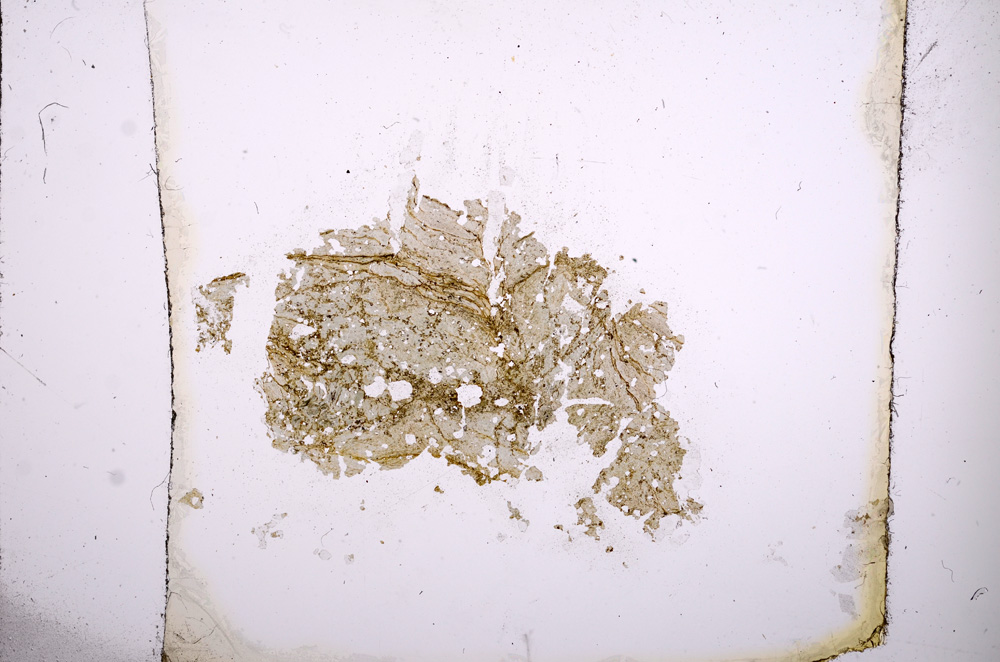 Plane Polarized, E3901