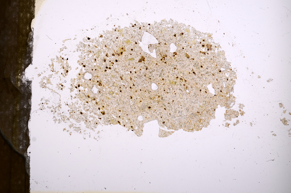 Plane Polarized, E3902