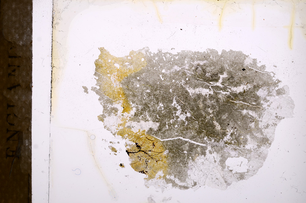 Plane Polarized, E3903