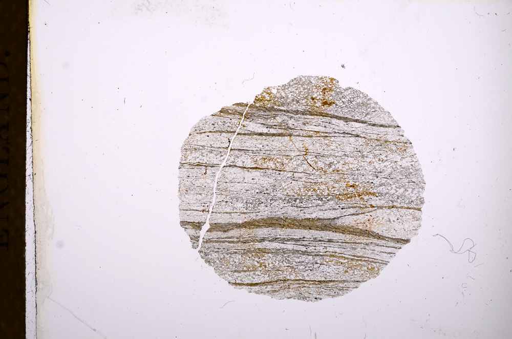 Plane Polarized, E3904