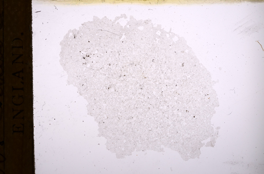 Plane Polarized, E3908