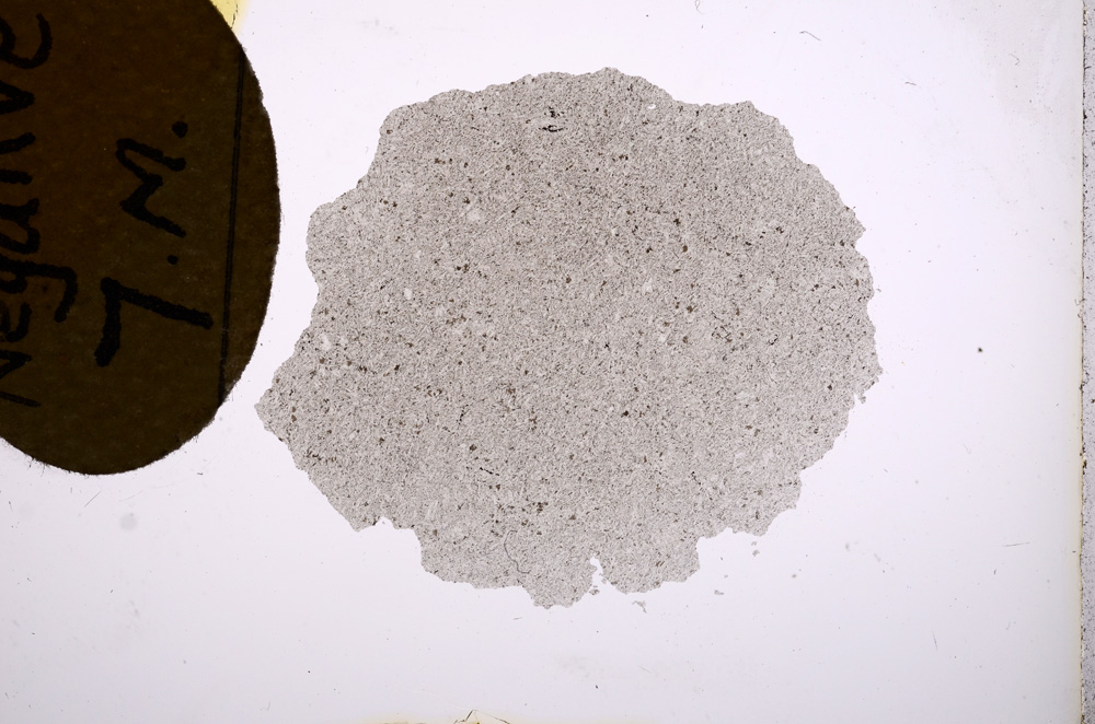 Plane Polarized, E3960