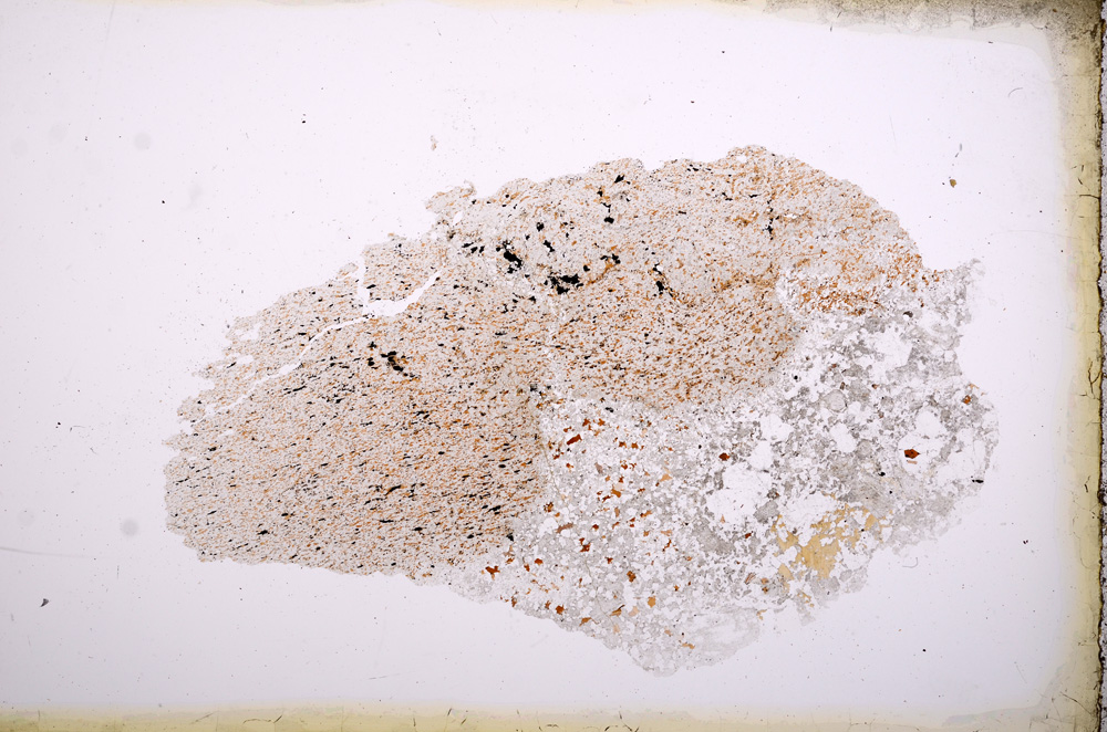 Plane Polarized, E3984