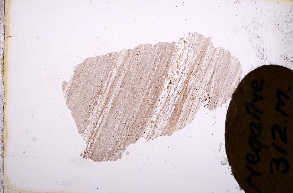 Plane Polarized, E3985