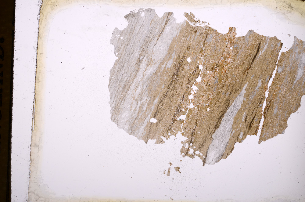 Plane Polarized, E3986