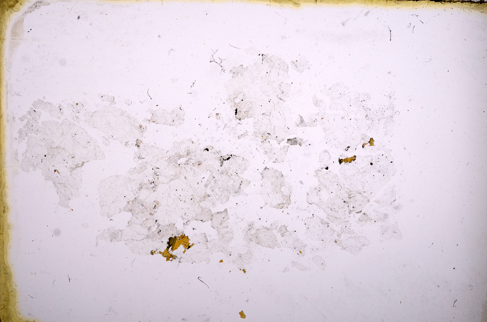 Plane Polarized, E3991