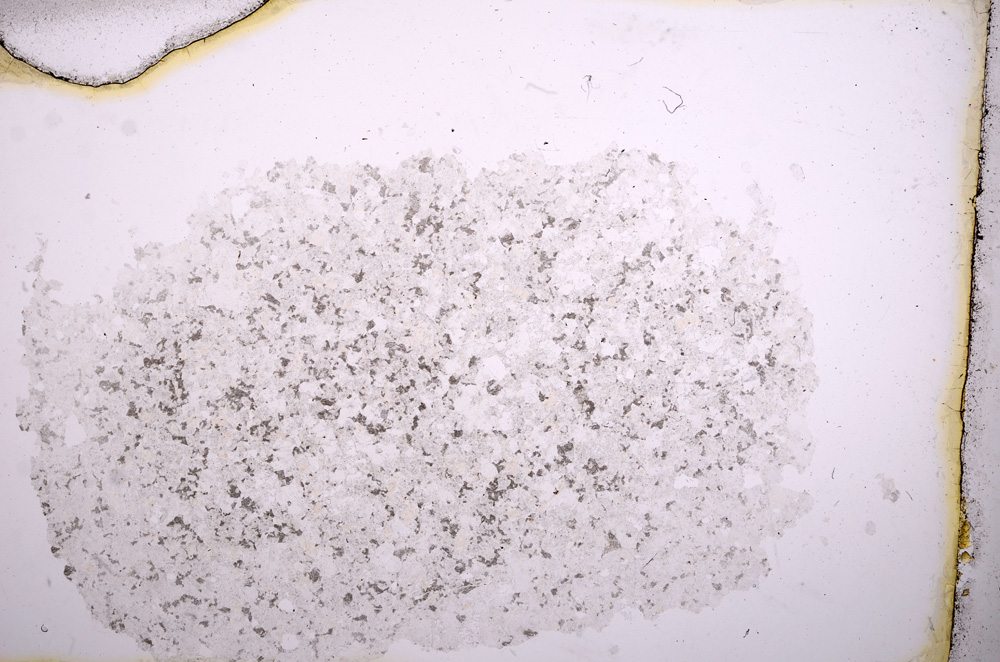 Plane Polarized, E3993