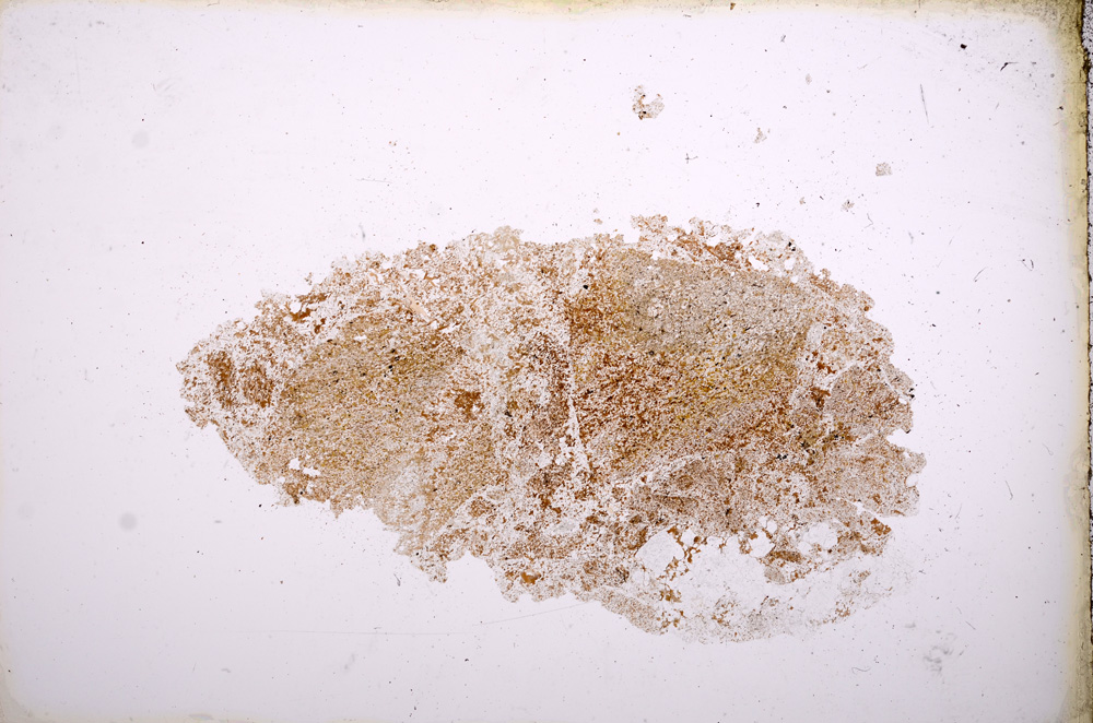 Plane Polarized, E3994