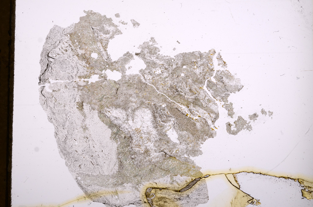 Plane Polarized, E3995