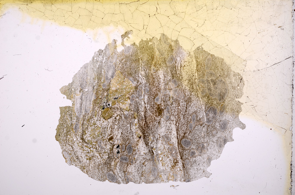 Plane Polarized, E3996