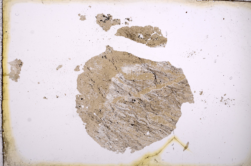 Plane Polarized, E4010