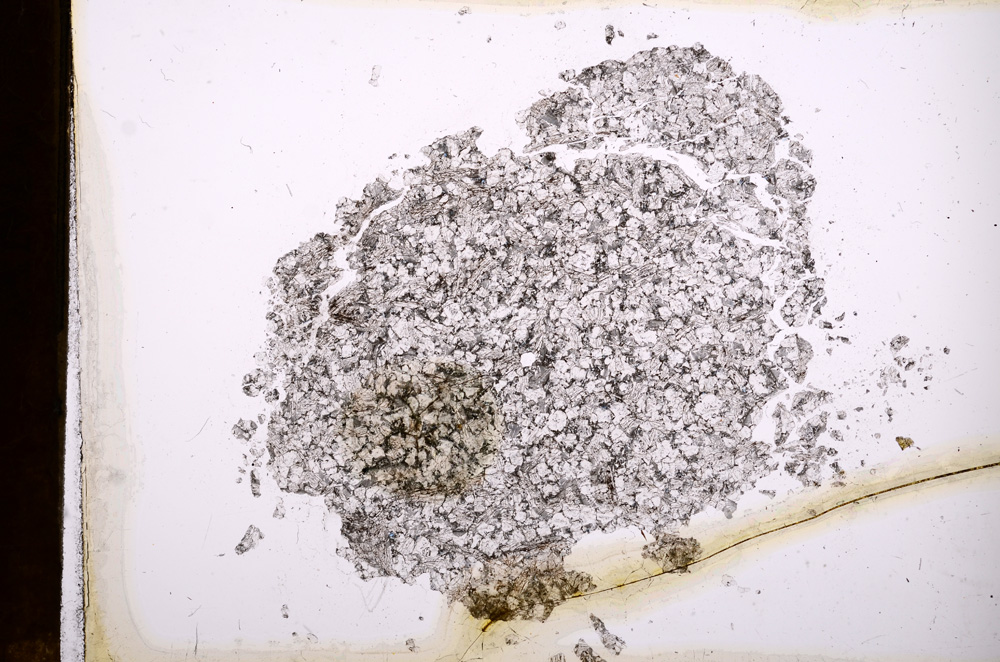 Plane Polarized, E4019