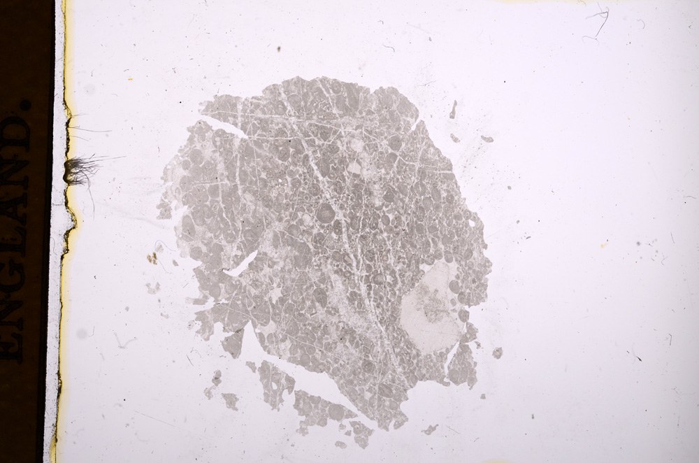 Plane Polarized, E4033