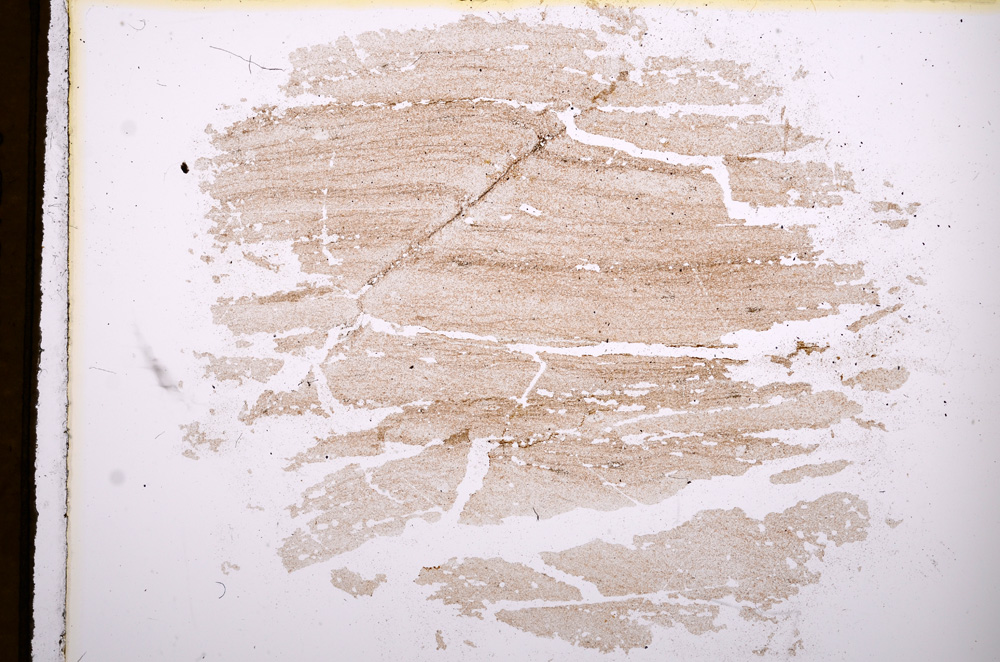 Plane Polarized, E4037