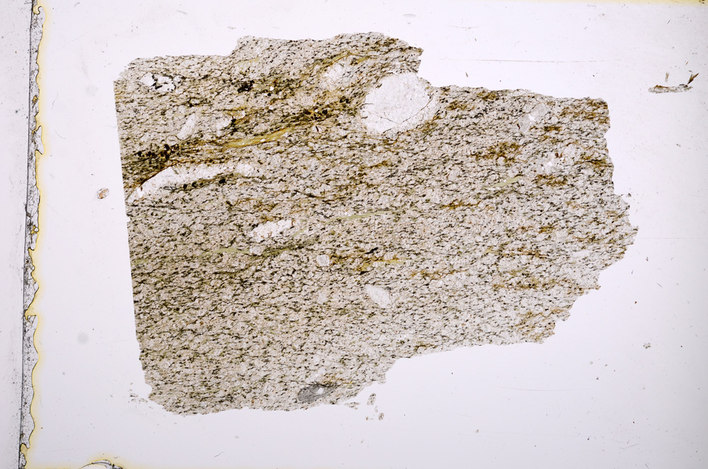 Plane Polarized, E4125