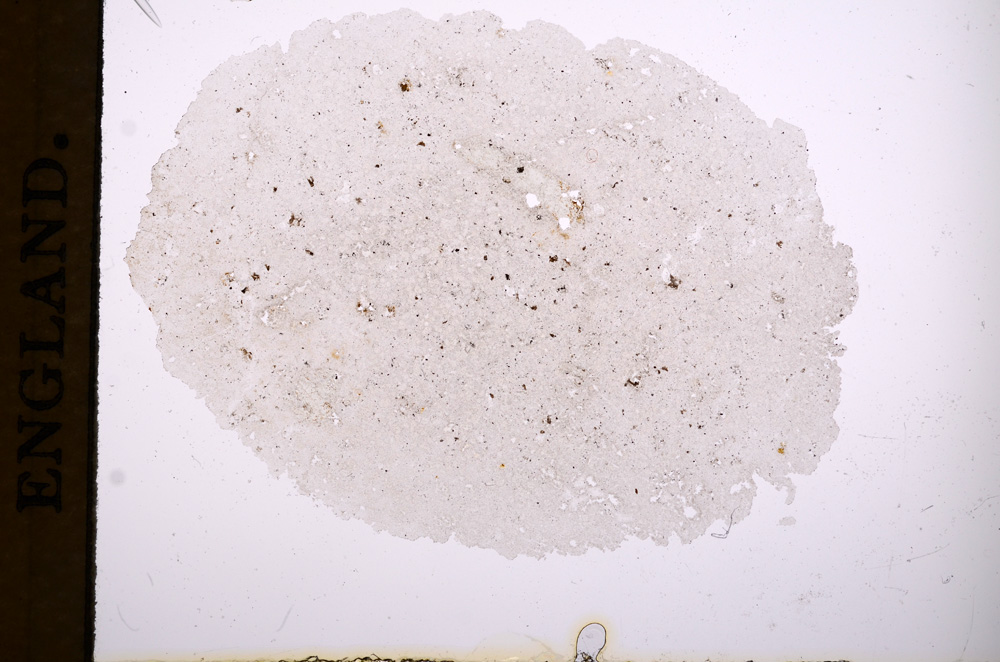 Plane Polarized, E4159