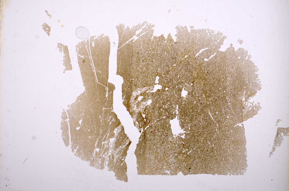 Plane Polarized, E4161