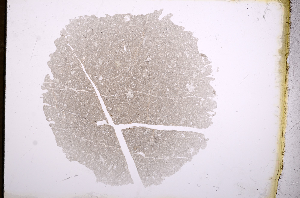 Plane Polarized, E4164