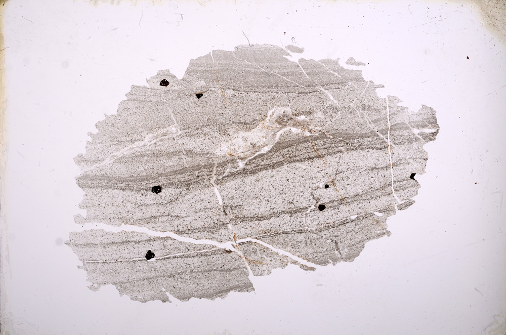 Plane Polarized, E4165