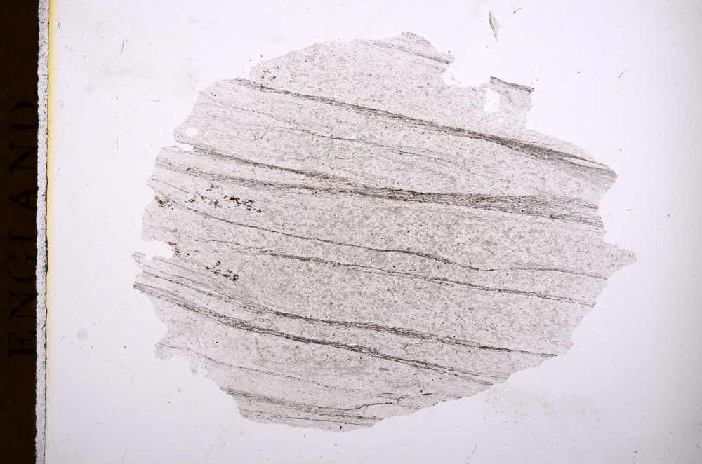 Plane Polarized, E4193