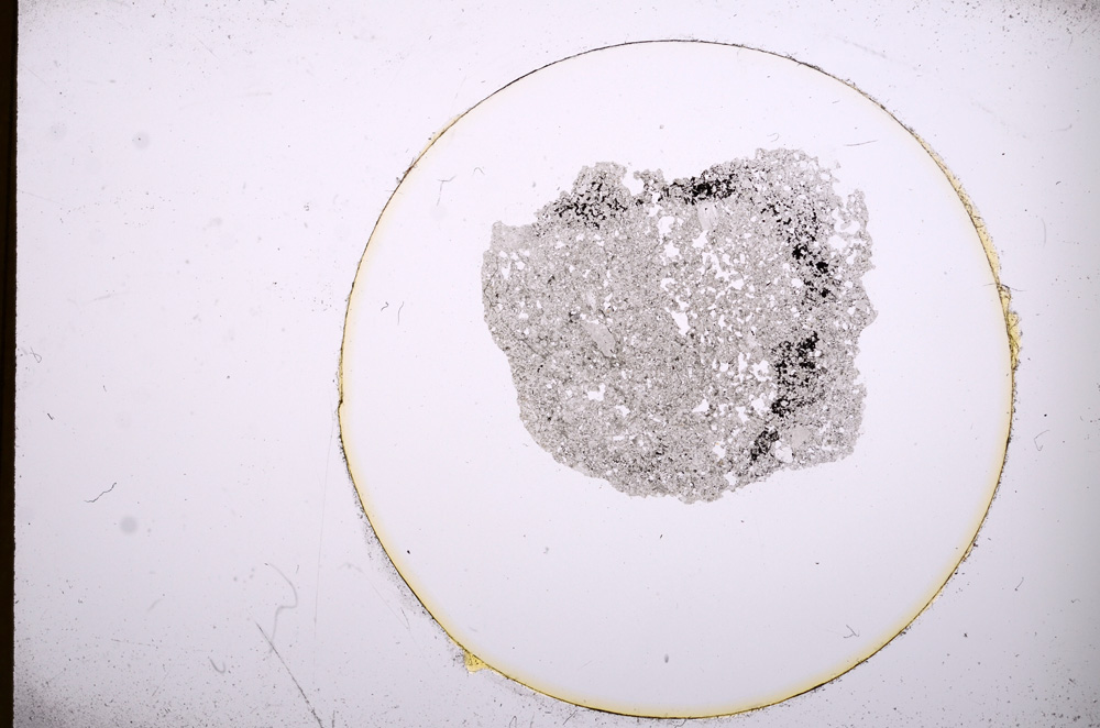 Plane Polarized, E4196