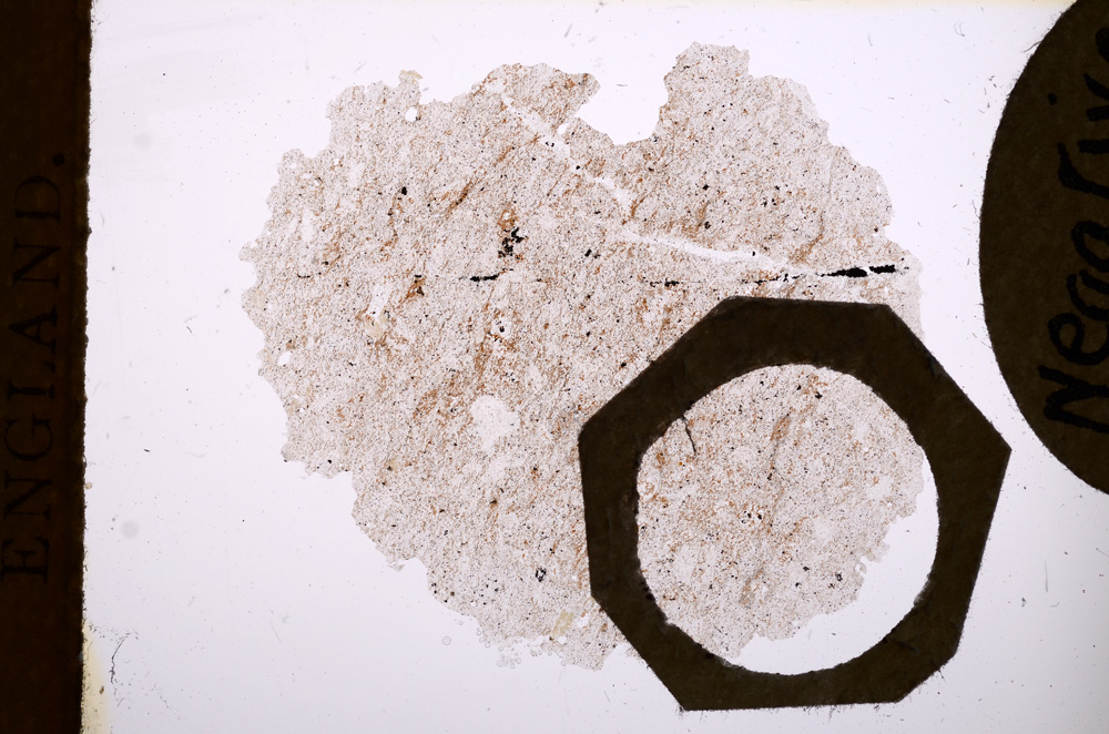 Plane Polarized, E4200