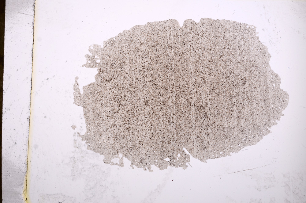 Plane Polarized, E4256