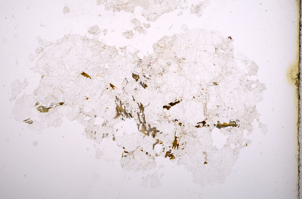 Plane Polarized, E4288
