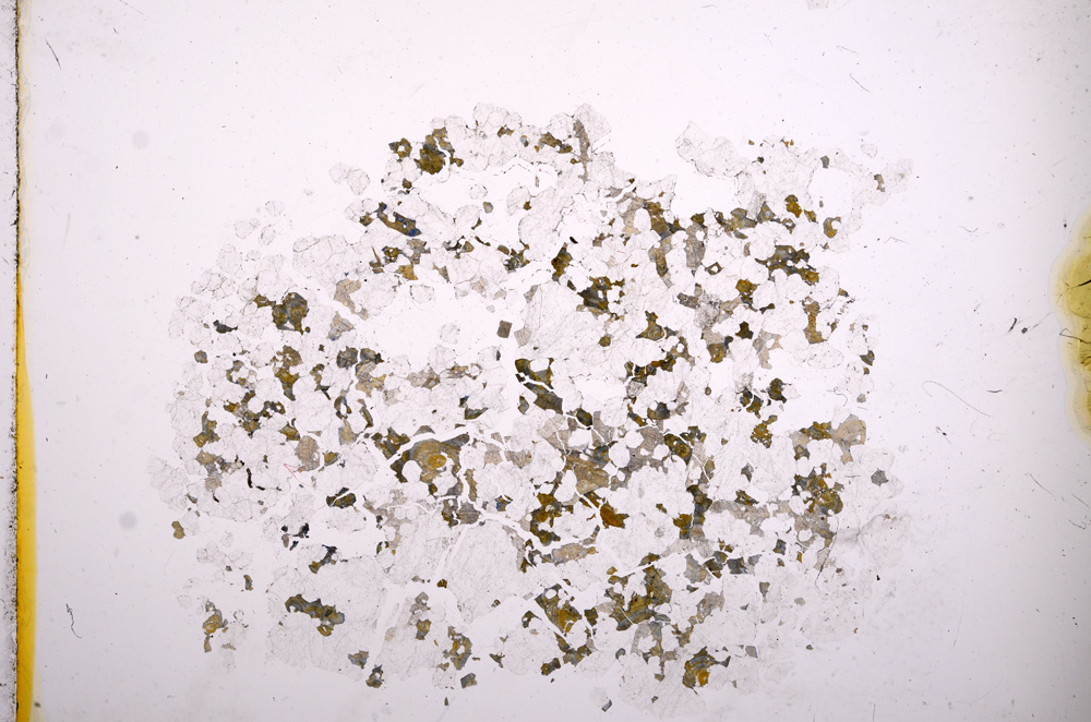 Plane Polarized, E4291