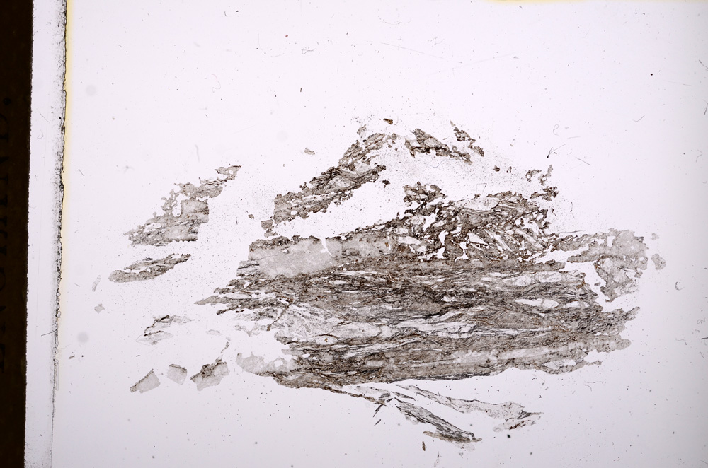 Plane Polarized, E4369