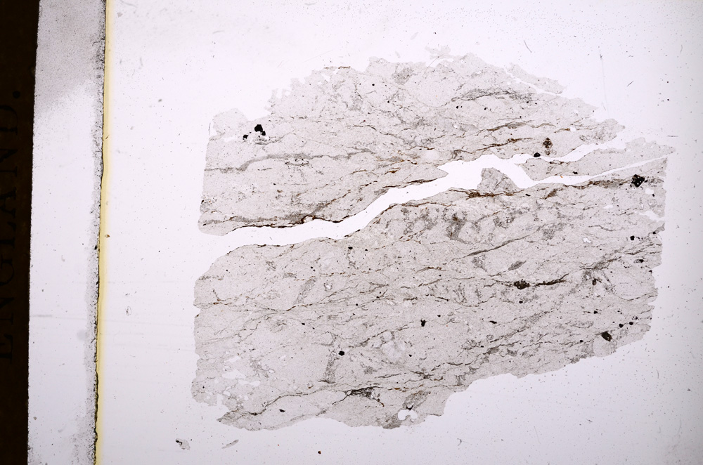 Plane Polarized, E4374