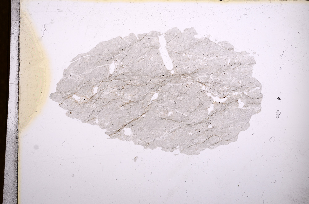 Plane Polarized, E4378