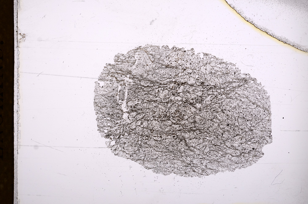 Plane Polarized, E4384