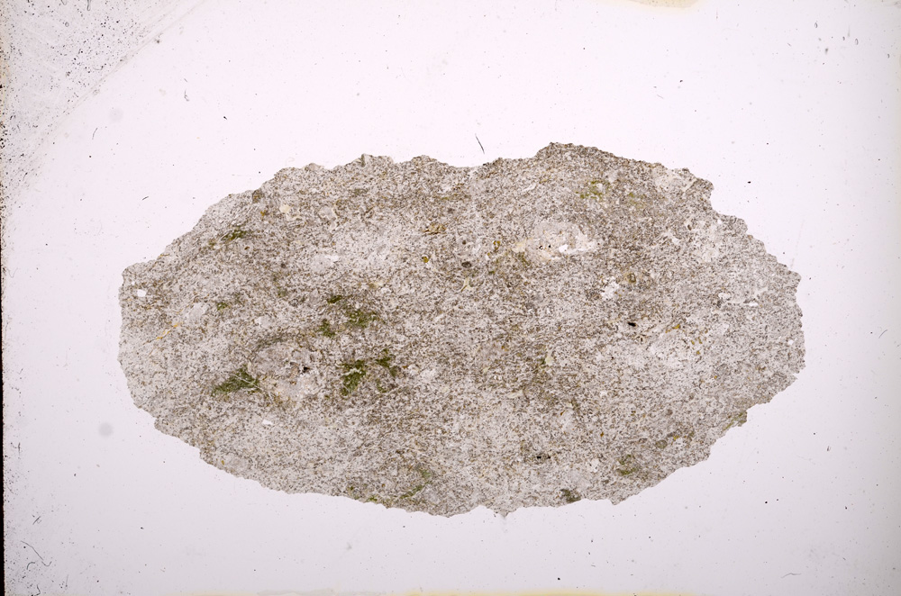 Plane Polarized, E4402