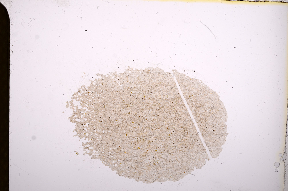 Plane Polarized, E4403