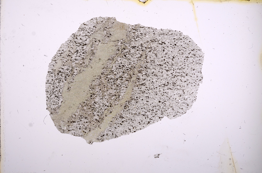 Plane Polarized, E4476