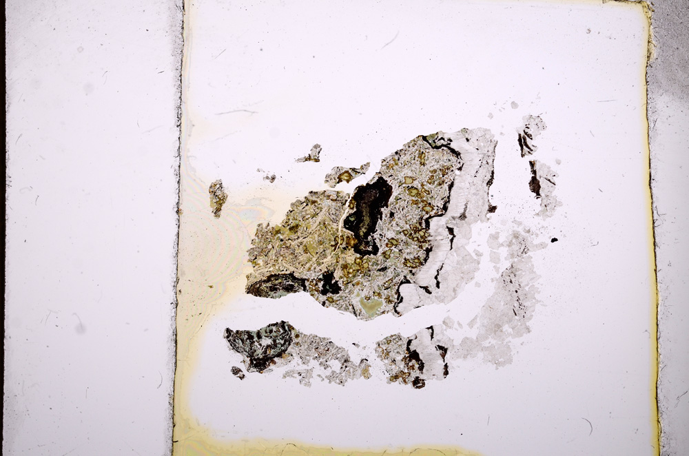 Plane Polarized, E4489