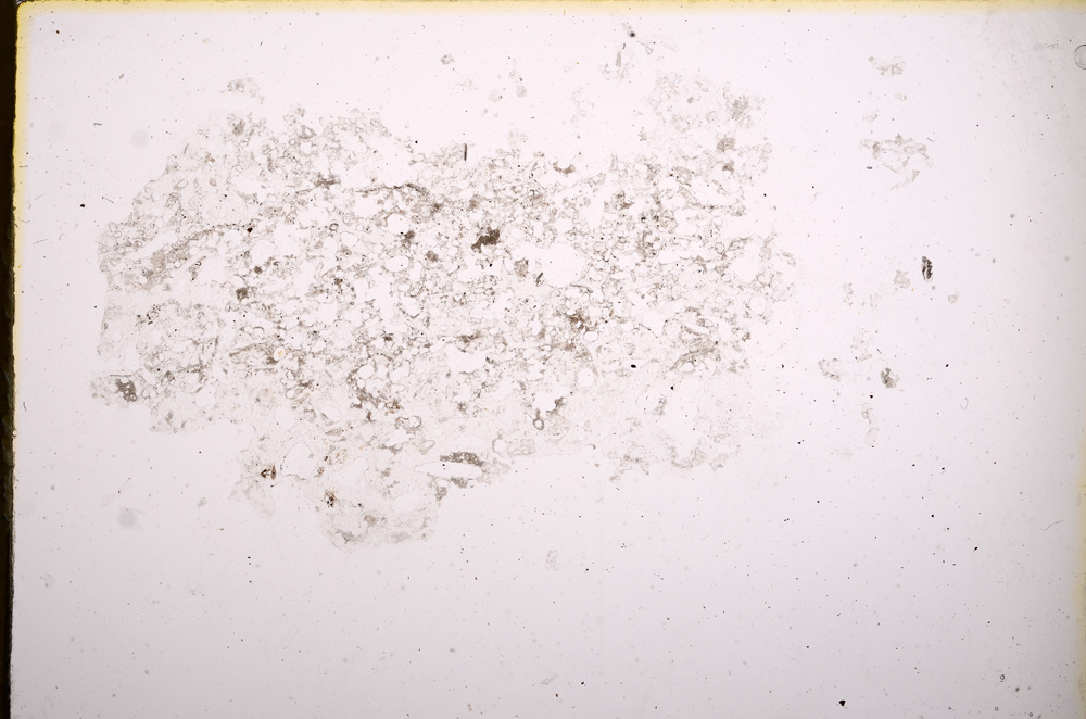 Plane Polarized, E4511