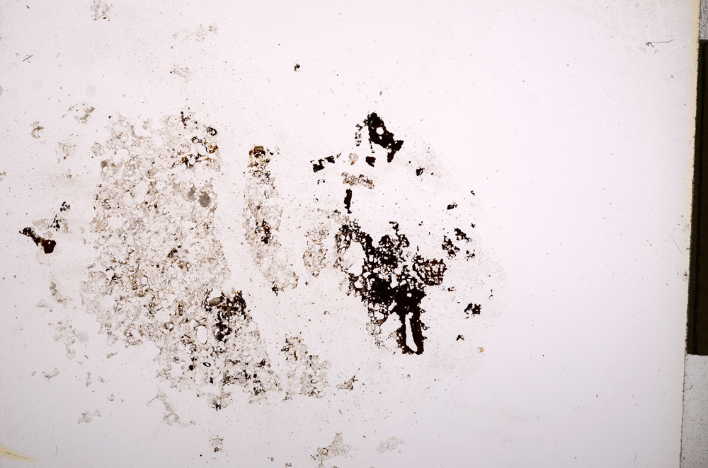 Plane Polarized, E4512
