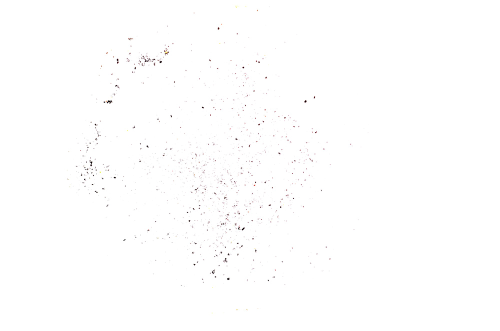 Plane Polarized, E4549