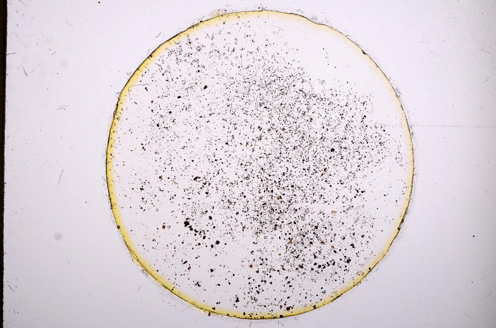 Plane Polarized, E4552