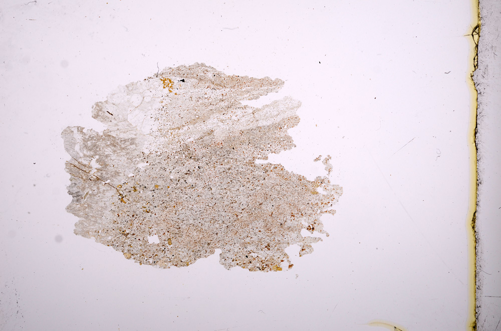 Plane Polarized, E4559